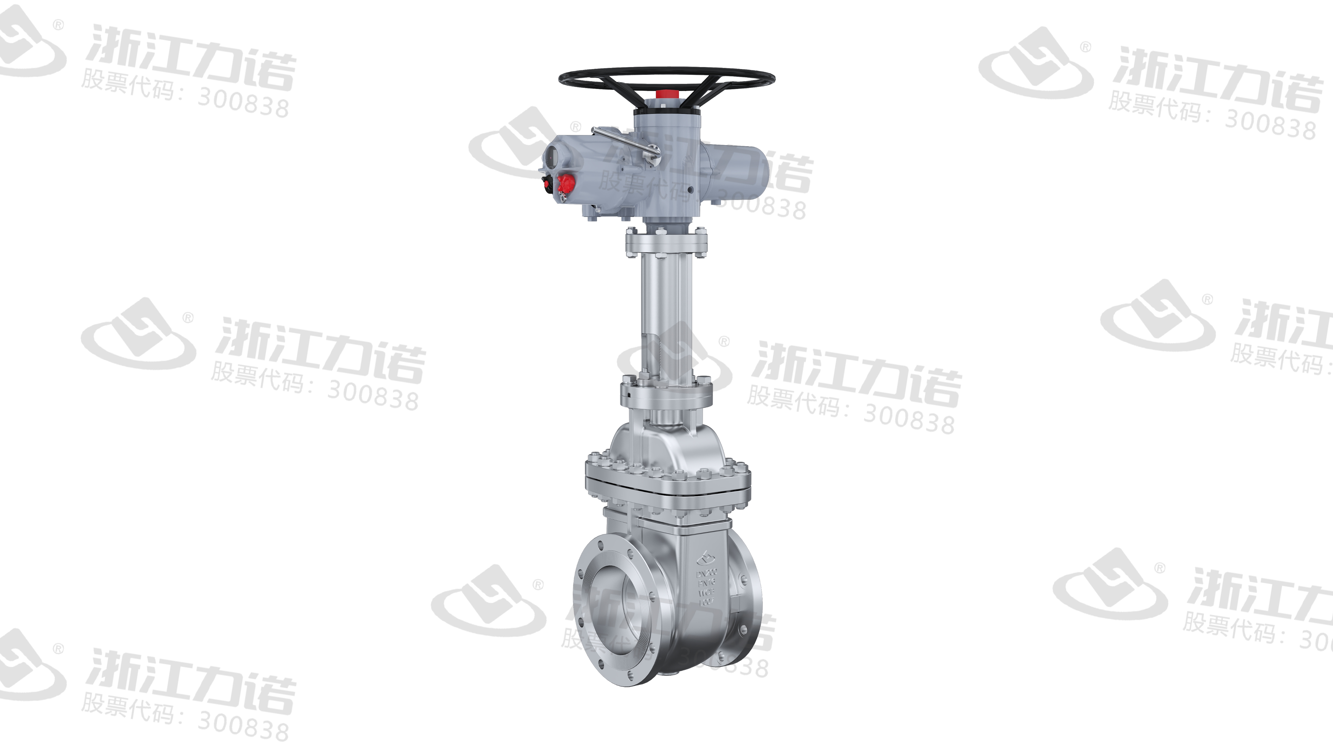 Parallel Double Gate Valve